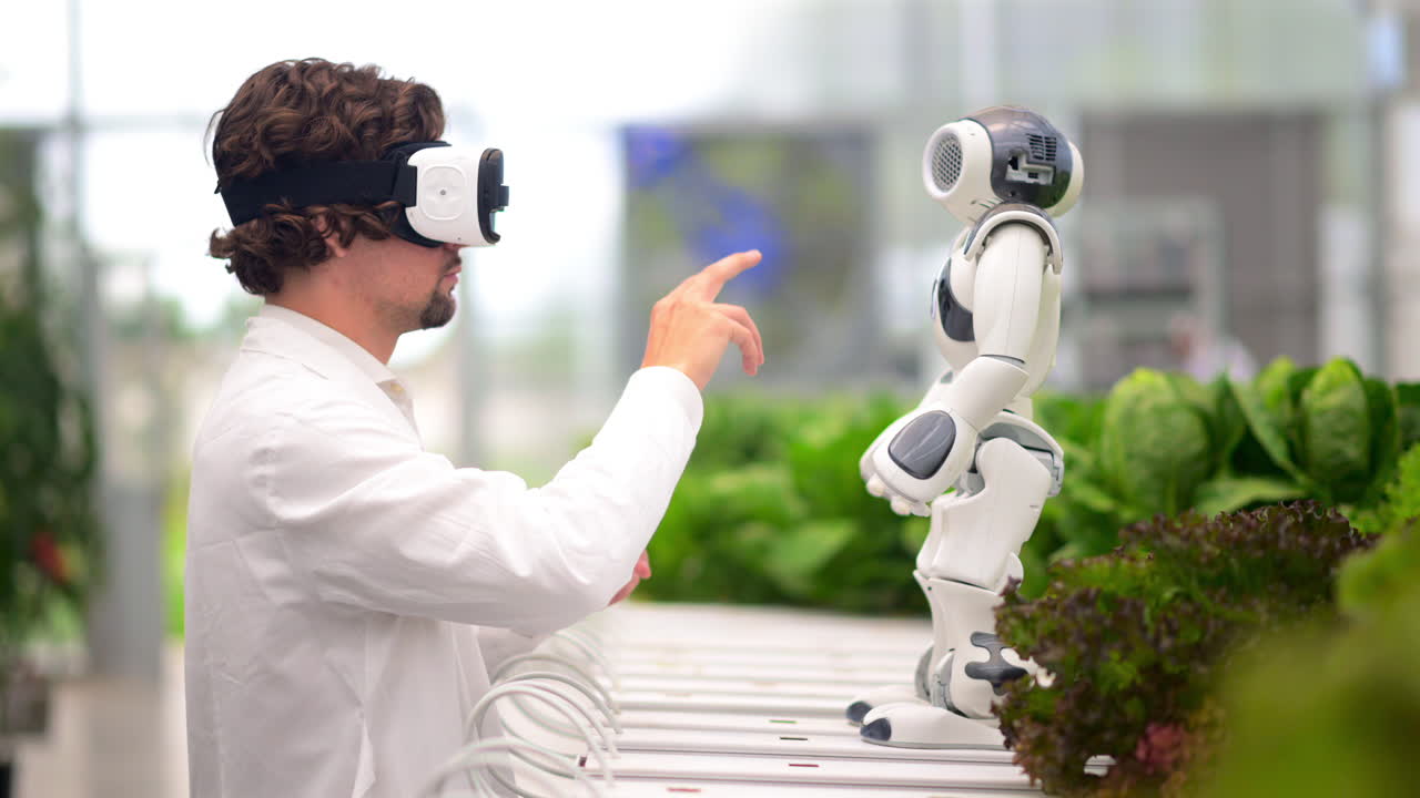 Laboratory technician in a white coat wearing virtual reality headset interacting with humanoid robot near different types of lettuce in a greenhouse farm