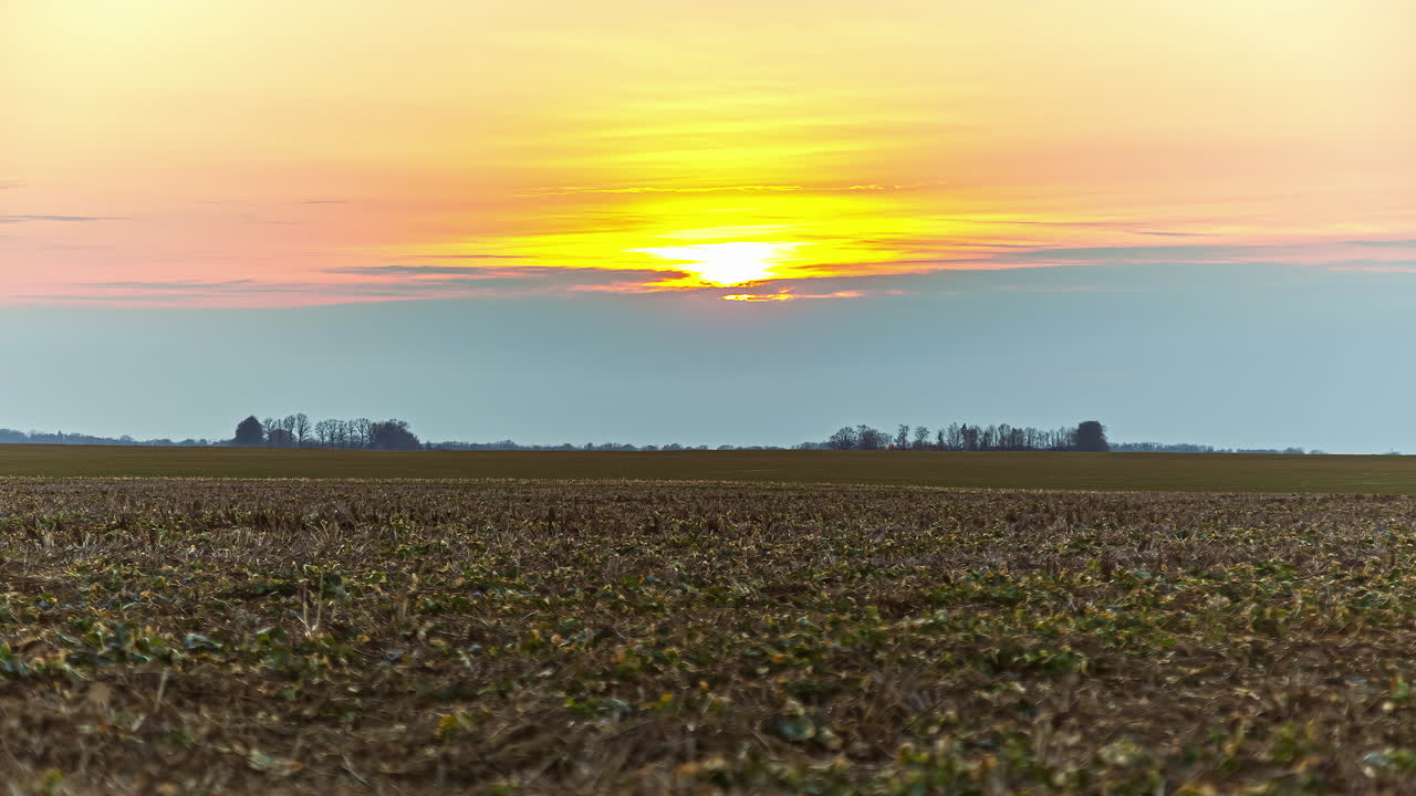 puesta de sol amarilla brillante sobre un campo de cultivo en otoño - lapso de tiempo estático de gran angular