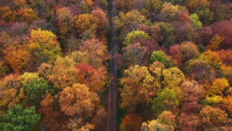 Flying-backward-over-straight-dirt-road-running-through-colorful-autumn-woodland