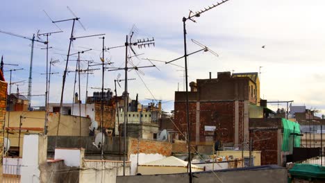 ariels rooftops2