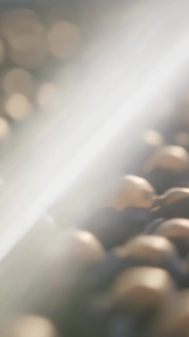 Vertical video: Sliding diagonal light streak crossing macro frame, shifting focus over brown beads
