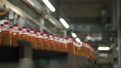bottled beverages on a production line