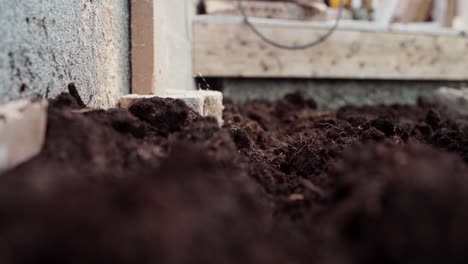 man sprinkling seeds on the soil