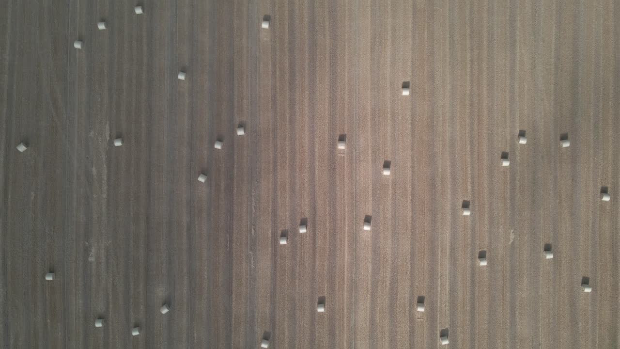 fardos de heno en la granja en irlanda en un día soleado