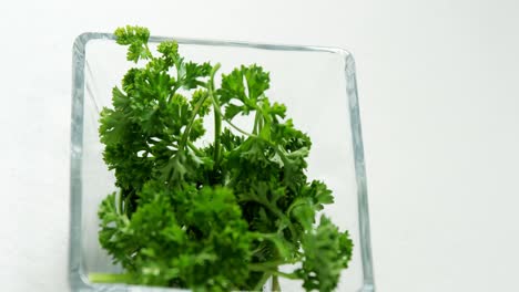 coriander in bowl on white background 4k