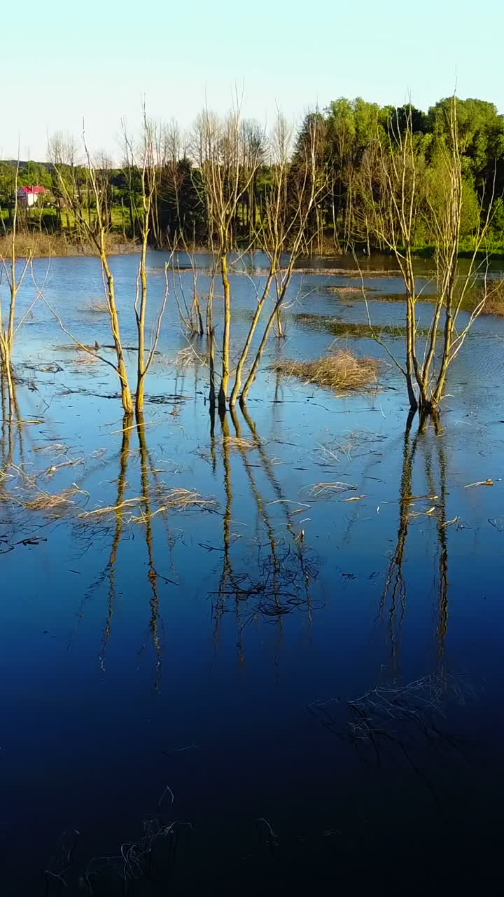 Earth Extreme Climate Change Landscape. Global warming environment,Earth extreme climate change landscape Vertical video