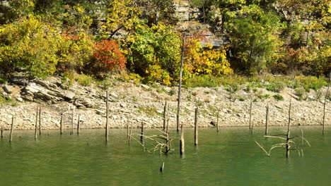 rotten wood pilings in idyllic water of lake in eagle hollow cave, arkansas, usa