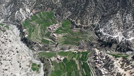 La-Impresionante-Belleza-De-Las-Granjas-Verdes-Y-Las-Casas-Embarradas