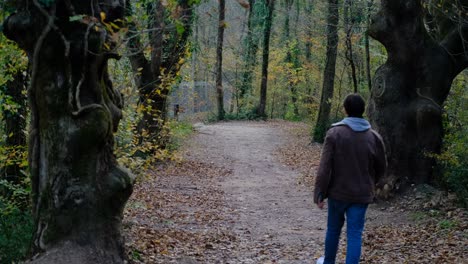 Solo-Joven-Caminando-En-El-Bosque