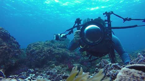 un video de 60 fps de un camarógrafo submarino tomando fotos de peces anémona en el océano con equipo submarino y luces estroboscópicas