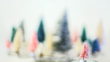 small pink bottle brush tree in foreground, focus rack to bottle brush tree forest on white background