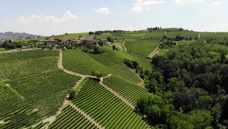 fly over grapes hills in langhe (piedmont- italy) during a spring sunny day