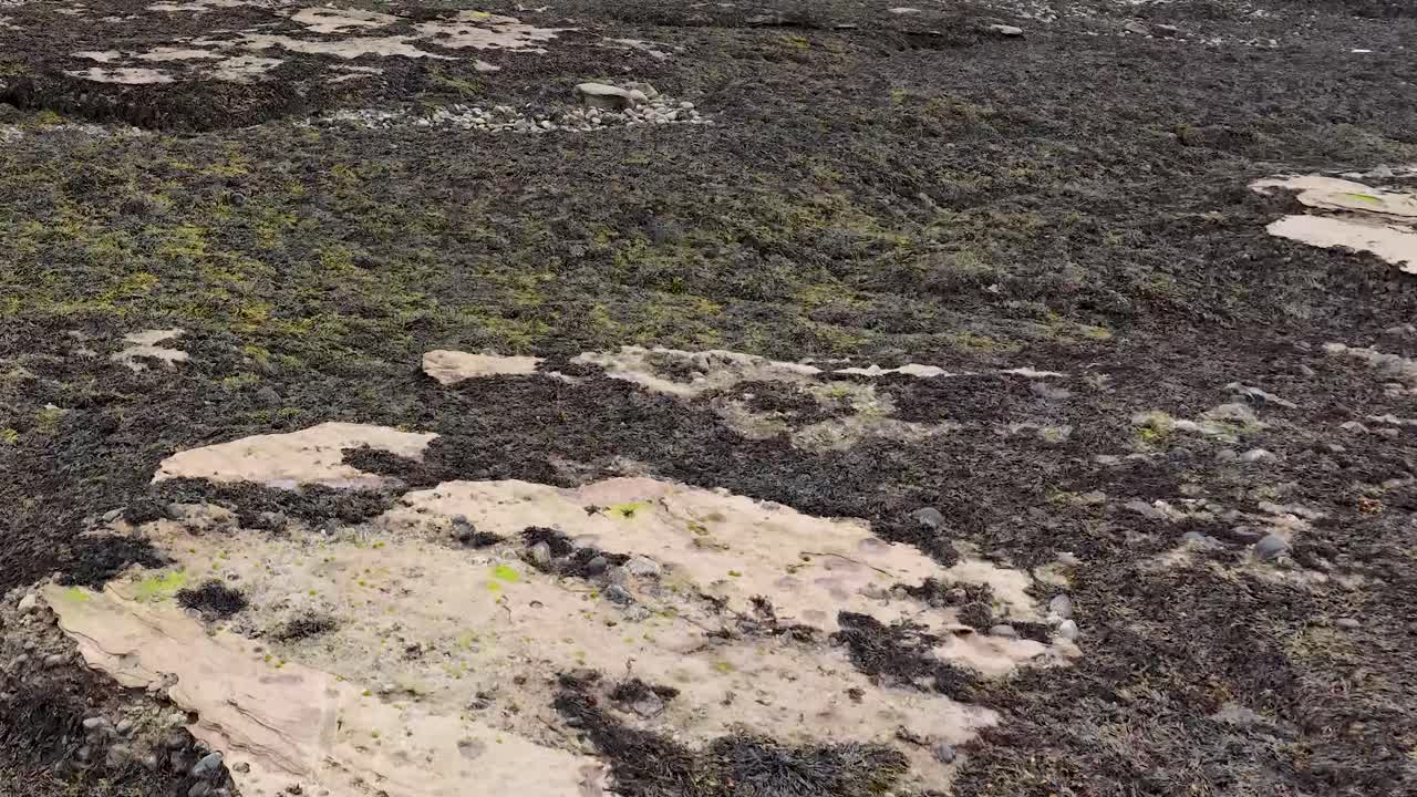 Overcast daylight pans across rocky, seaweed-covered coastline, tidal pools, and exposed geology in Scotland