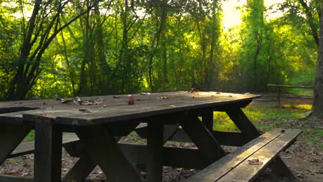 Moving-shot-of-empty-picnic-table-in-the-morning