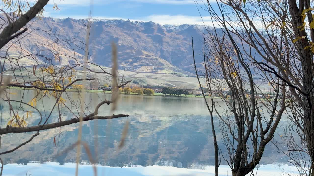 Calm lake with tree branches and mountain reflections in Cromwell, New Zealand. Clear skies and tranquil atmosphere