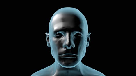 3d animation of a male head rotating (loop)