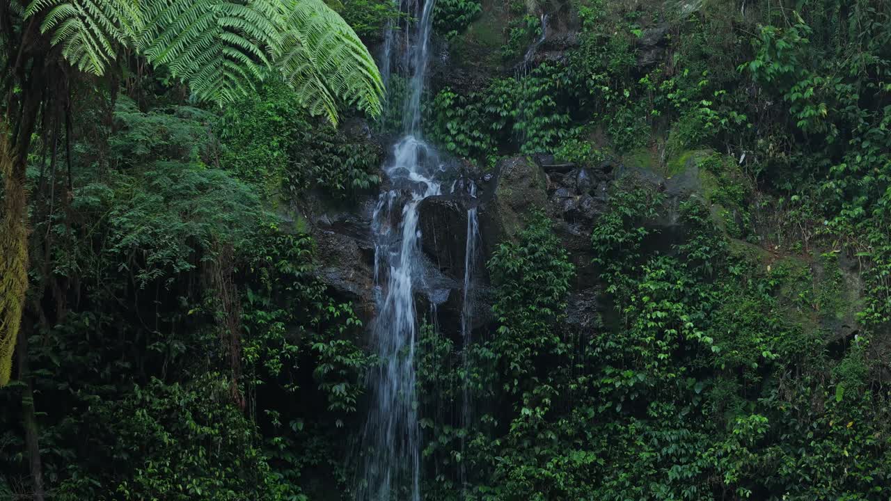 Untouched rainforest beauty with crystal clear waterfalls flowing through a green paradise