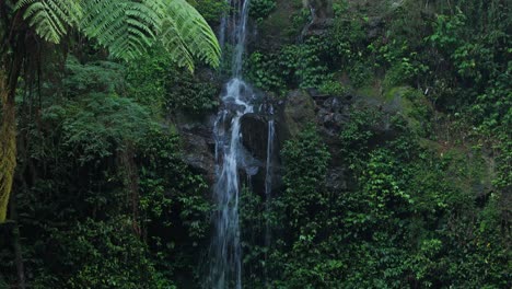untouched rainforest beauty with crystal clear waterfalls flowing through a green paradise