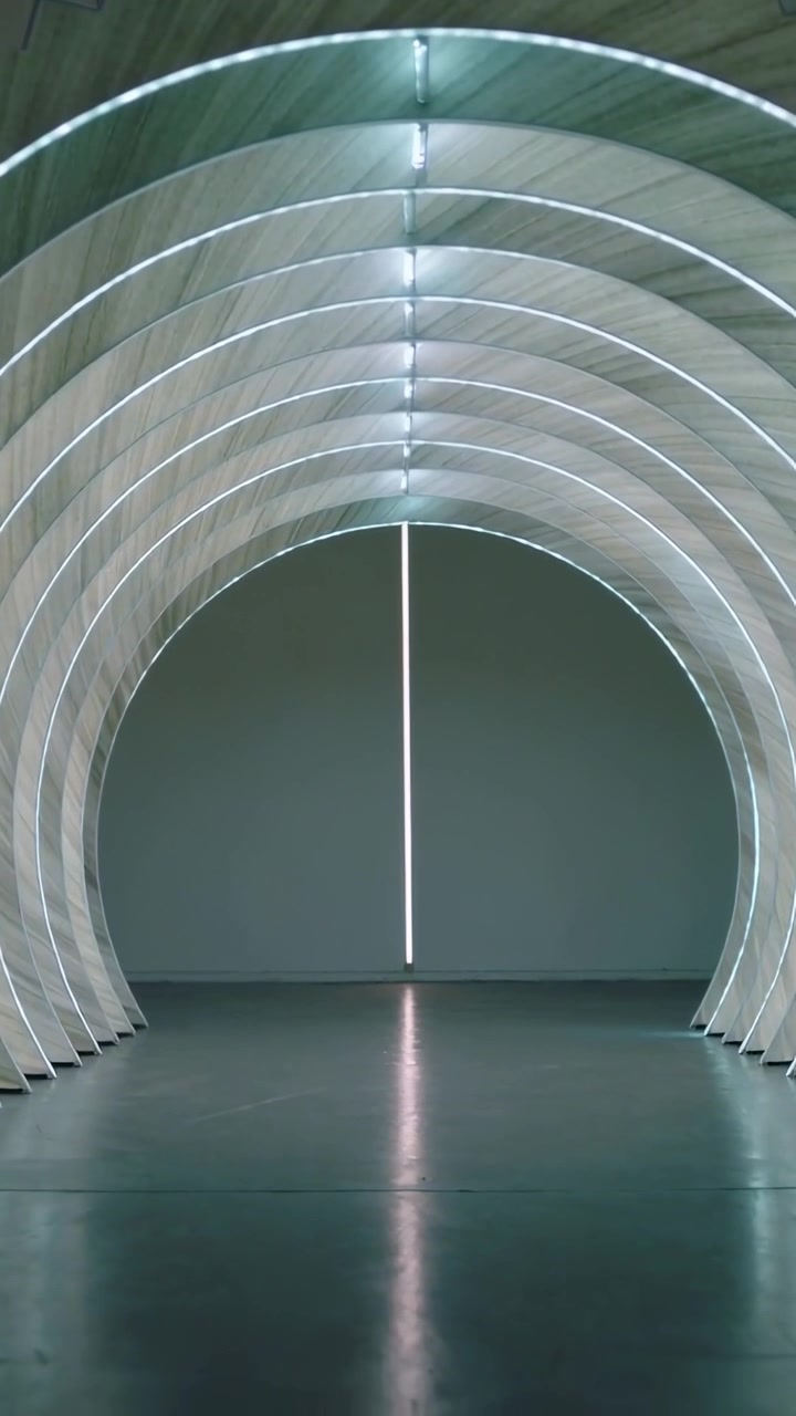 Video verticale: Telecamera che riprende anelli ad arco illuminati in una galleria, riflettendo luci LED