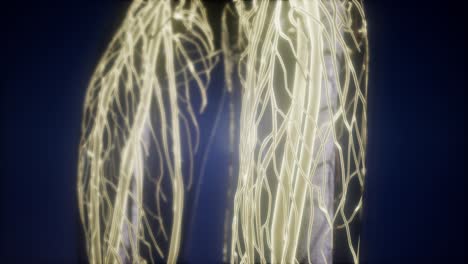 Human-Body-with-Glow-Blood-Vessels