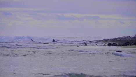 Surfistas-En-El-Mar-Embravecido-Con-Enormes-Olas-En-La-Cabeza-De-La-Media-Luna---Lugar-De-Surf-En-Nsw,-Australia---Toma-Amplia-En-Cámara-Lenta