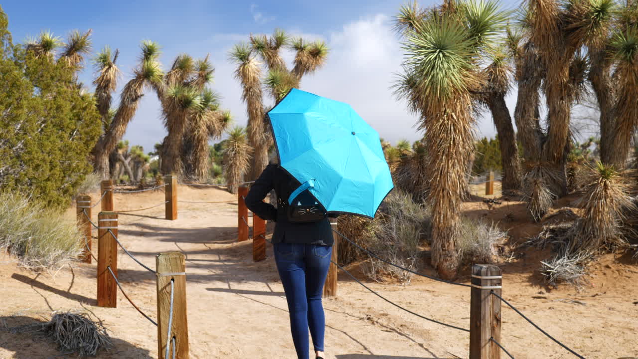 mujer con un paraguas de lluvia azul caminando por el desierto con árboles de joshua en un paseo por la naturaleza en cámara lenta