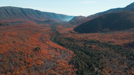 Aerial-view-of-an-immense-landscape-with-blue-sky,-mountains-and-vegetation-at-daytime