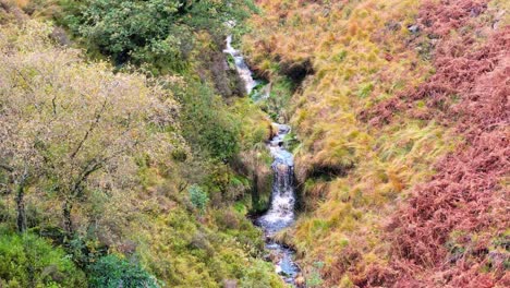 Slow-moving-moorland-stream-flowing-gently-on-the-Pennine-moors,-aerial-drone-video-with-small-waterfalls,river-and-heather-covered-valley