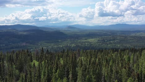 Verdant-Vistas:-Soaring-Over-the-Dense-Forests-in-Smithers,-British-Columbia