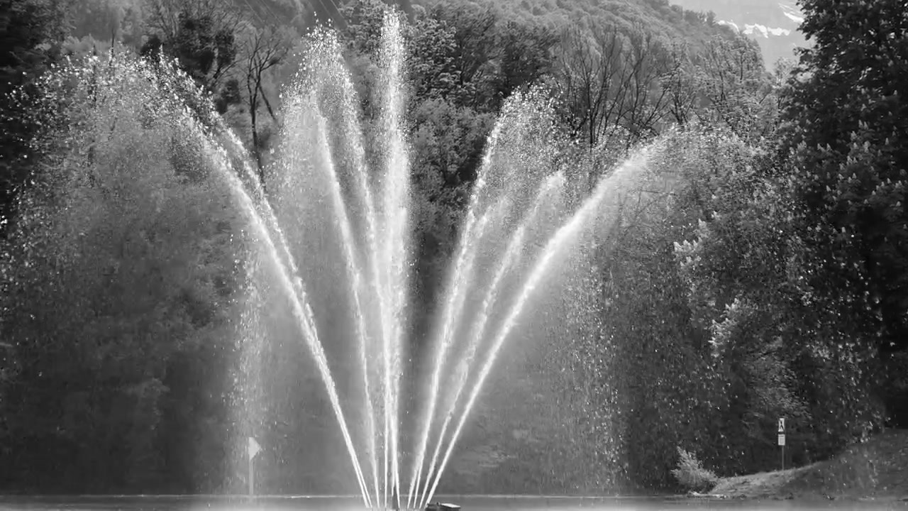 Getti d'acqua si innalzano da una fontana circondata da alberi e paesaggio del parco in monocromia