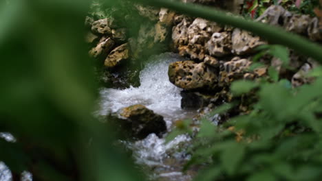 Agua-Burbujeante-Que-Fluye-De-Las-Rocas-Con-Hojas-De-árboles-En-Primer-Plano