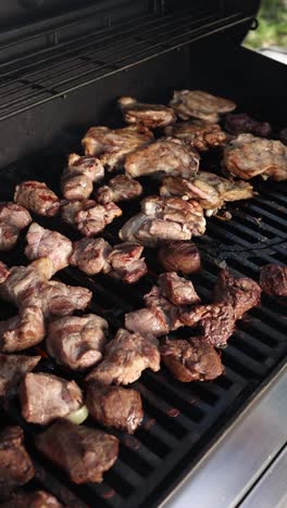 carnes a la parrilla en una barbacoa