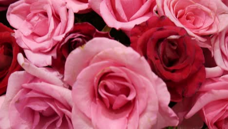 ramo de rosas para la decoración