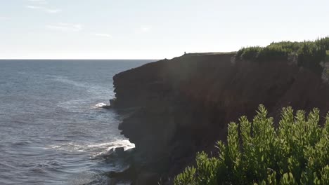 bald eagle sitting on cliff in the distance