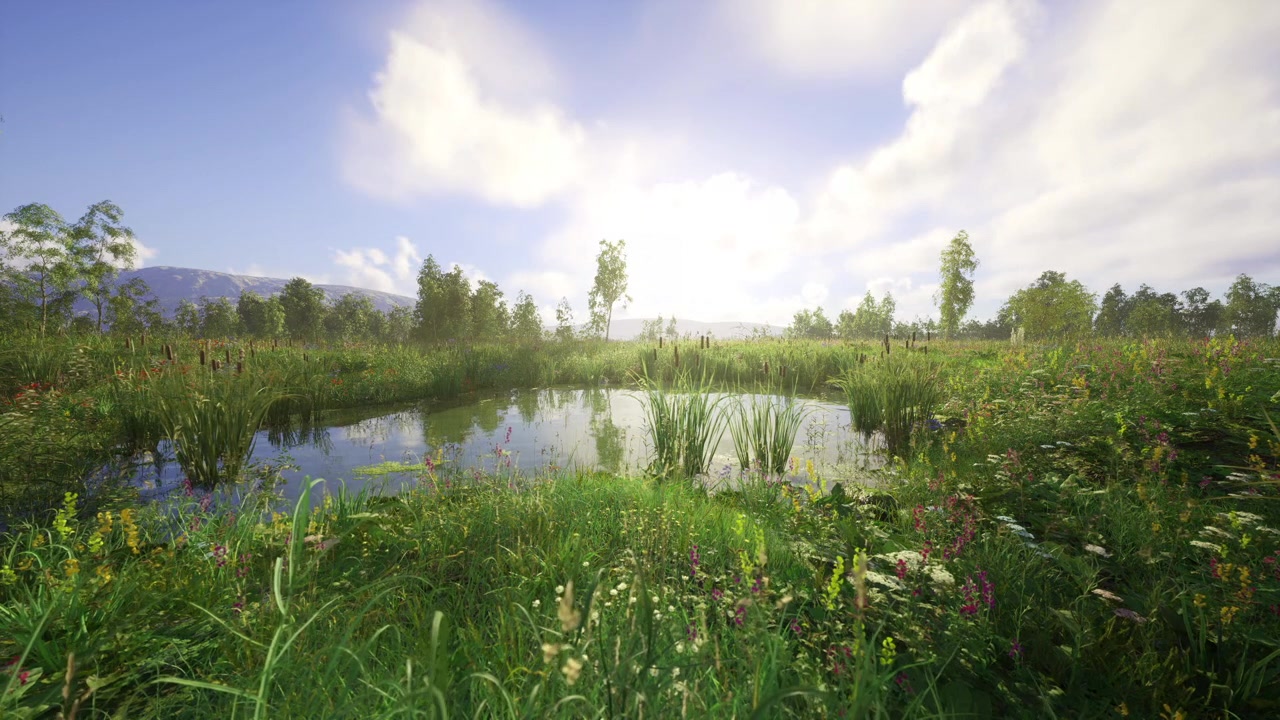 Peaceful rural environment featuring lively flora and buzzing insects
