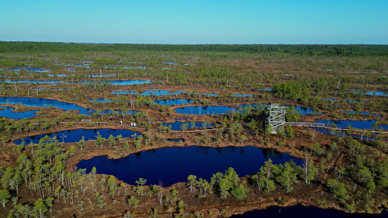 vista aérea panorámica del bosque y los lagos de los humedales en kemeri bog, letonia