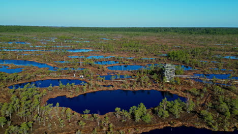 Vista-Aérea-Panorámica-De-Los-Bosques-Y-Lagos-De-Los-Humedales-En-Kemeri-Bog,-Letonia