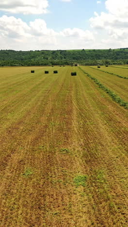 field with bales on the natural background in rural place. wrapped fodder bales of dried grass as animal food to feed domesticated livestock during winter time. camera moves left. vertical video