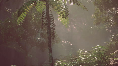 a lush tropical rainforest with dense foliage, sunlight filtering through the canopy