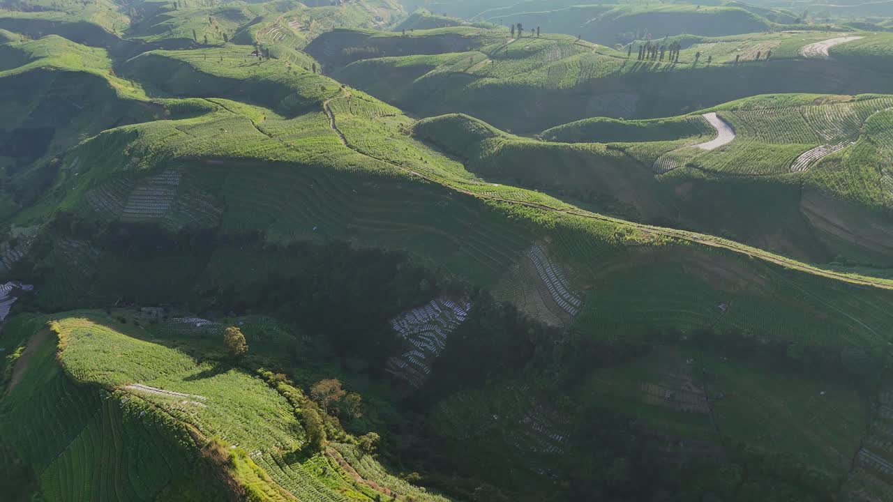 Beautiful drone footage of verdant rolling hills with layered agricultural field. Harmony between nature and traditional agriculture