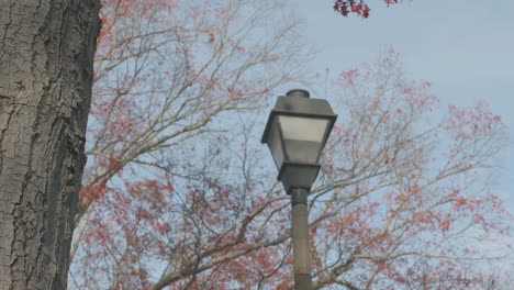 Farola-Suburbana-Contra-Un-Telón-De-Fondo-De-Otoño