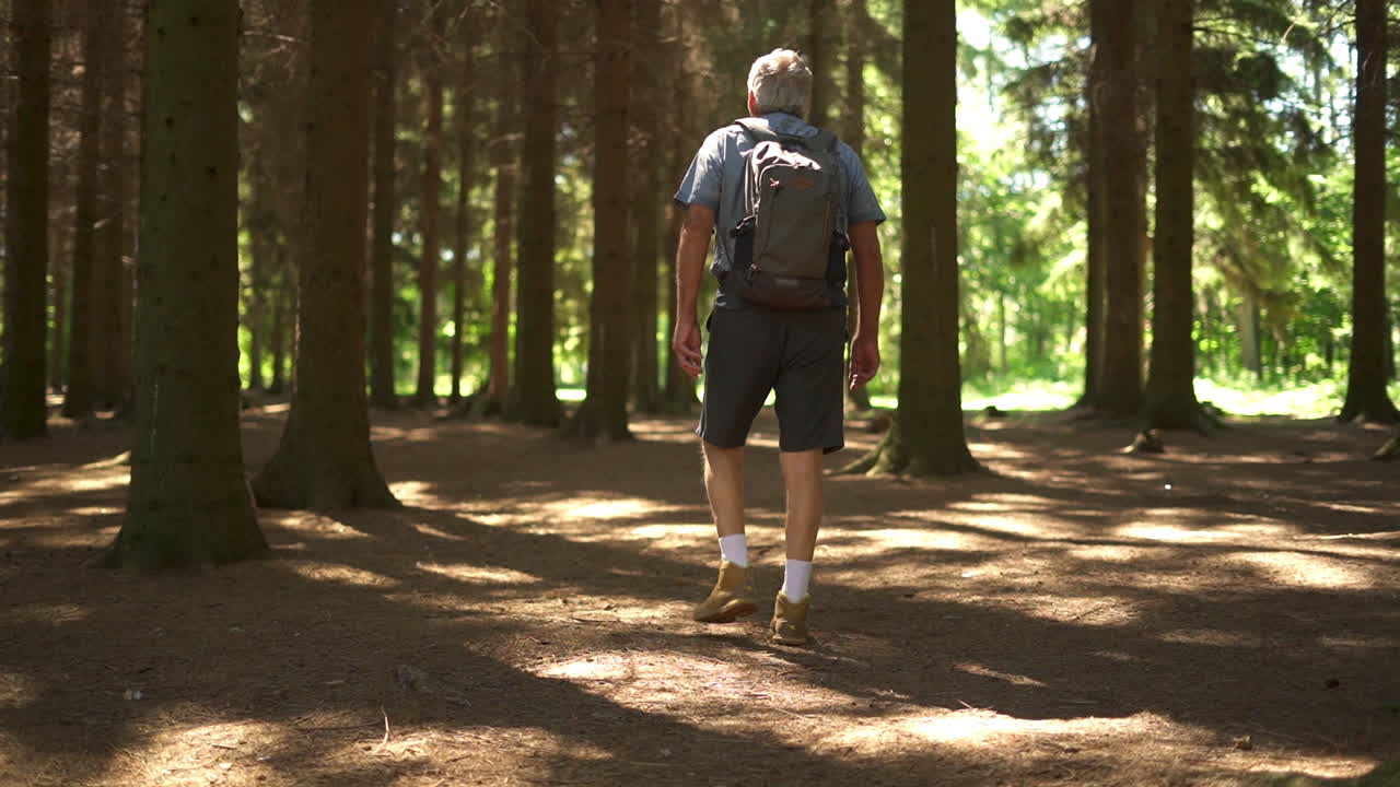 A man hiking in the forest