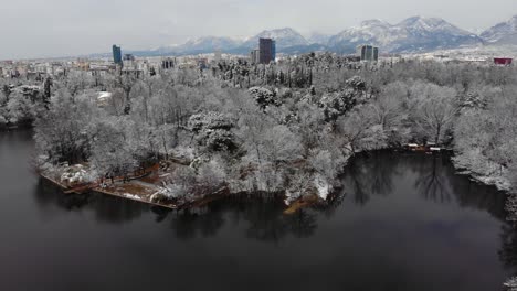 Ruhiger-Stadtpark-Und-Ruhiger-See-An-Einem-Kalten-Wintertag-Mit-Bäumen,-Die-Mit-Weißem-Schnee-Bedeckt-Sind
