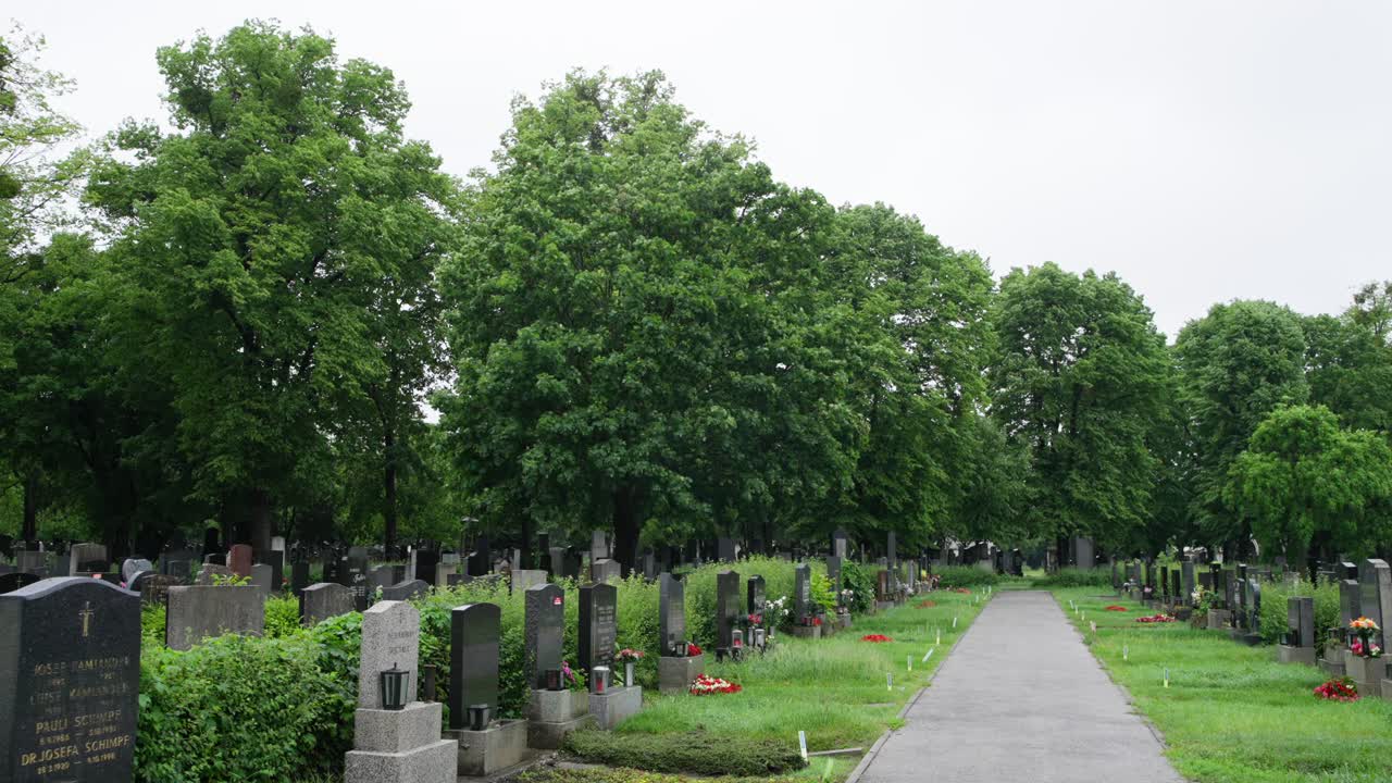 Il vento smuove gli alberi alti mentre le lapidi riposano in silenzio lungo un sentiero tranquillo