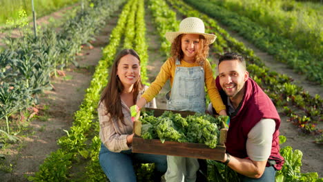 harvest, food and family working on a farm