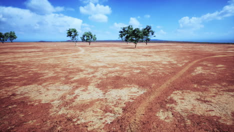 tierra seca de suelo agrietado durante la estación seca