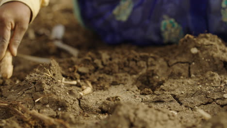 planting in the soil
