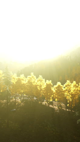 golden autumn forest in the mountains