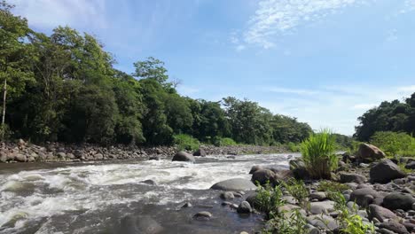 green tropical forest along the gravel banks of the trickling sarapiqui river at low tide in costa rica.