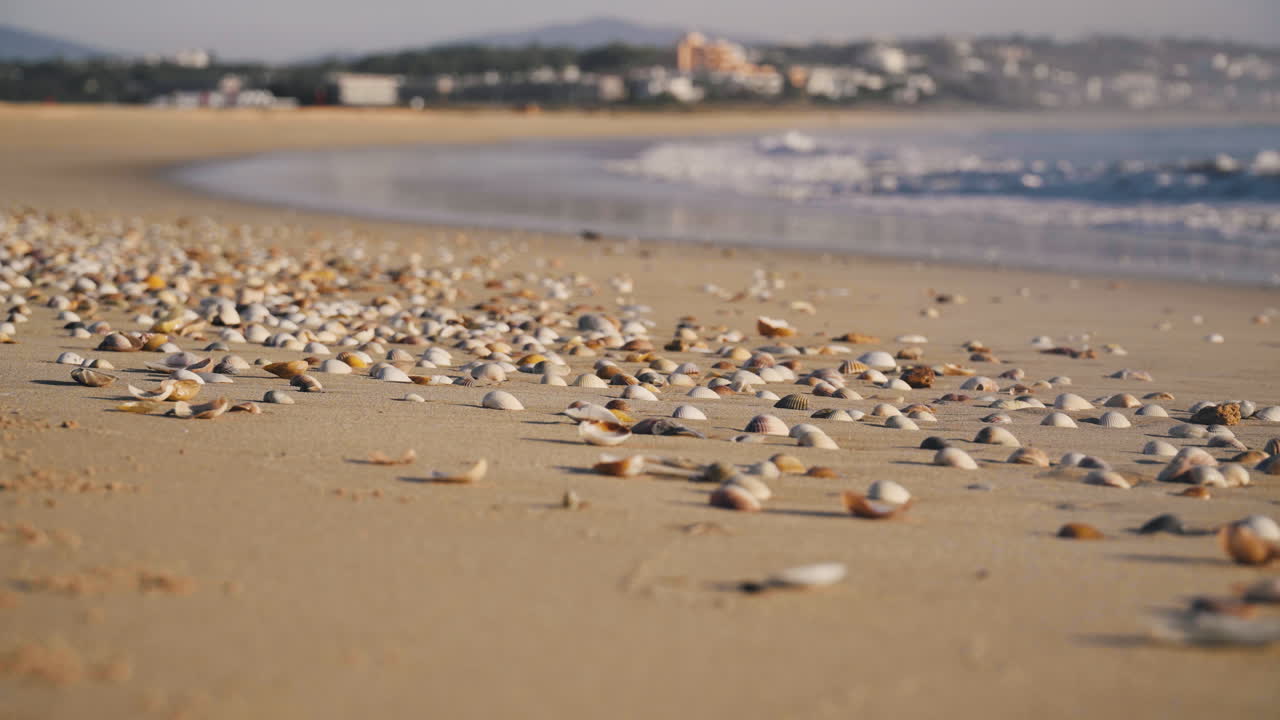 파도가 포르투갈 해변의 조개껍질 위로 굴러간다